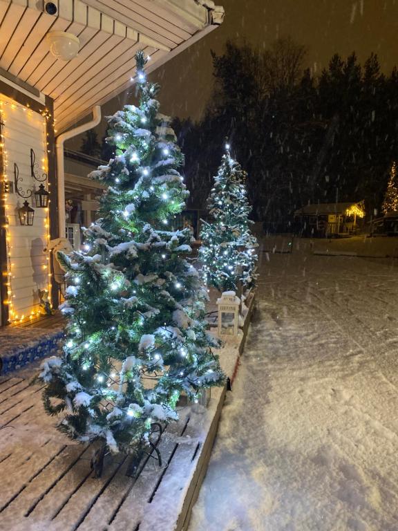 Fotografie z fotogalerie ubytování Villa Shaman v destinaci Rovaniemi