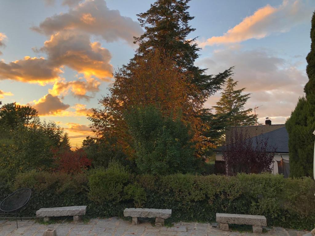 Zahrada ubytování Villa Aurelia - Casa de campo con jardín y piscina entre Madrid y Segovia