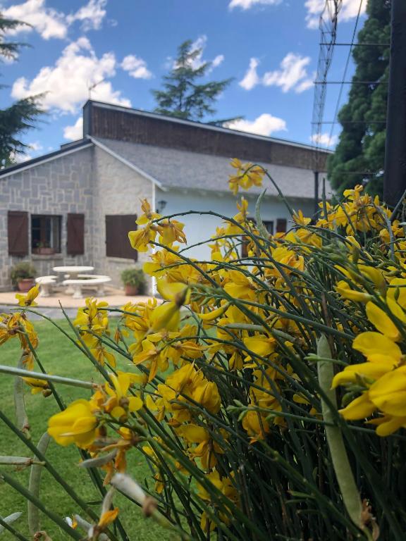 Zahrada ubytování Villa Aurelia - Casa de campo con jardín y piscina entre Madrid y Segovia