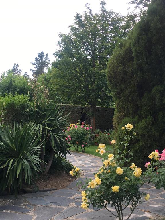 Zahrada ubytování Villa Aurelia - Casa de campo con jardín y piscina entre Madrid y Segovia