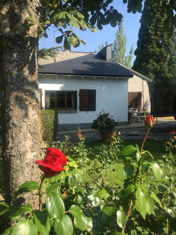 Zahrada ubytování Villa Aurelia - Casa de campo con jardín y piscina entre Madrid y Segovia