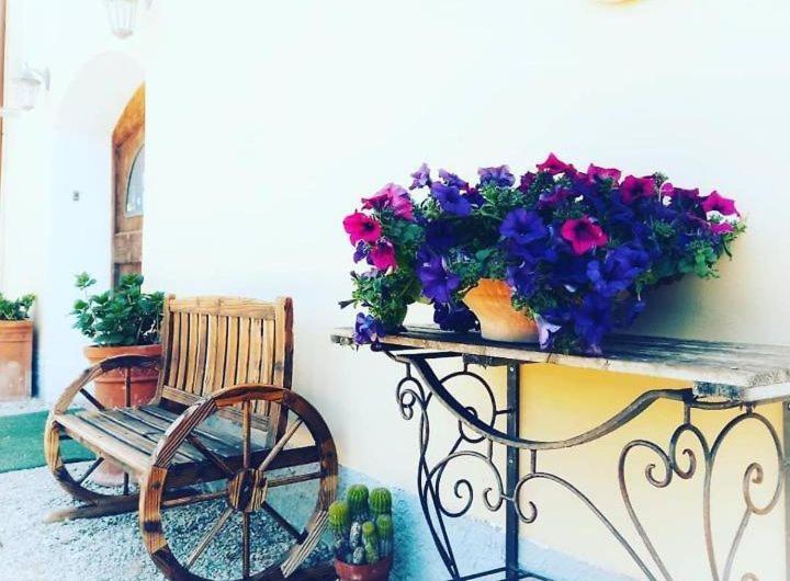 Zahrada ubytování Hotel Gli Acquerelli