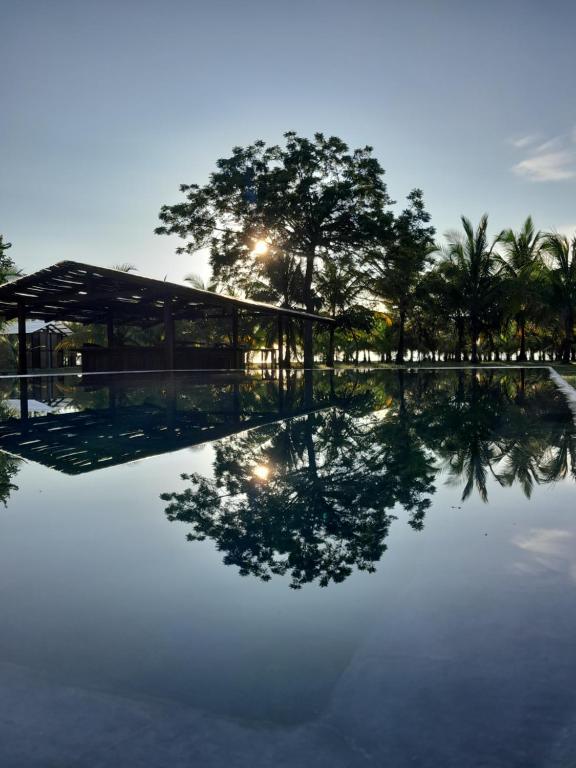 a swimming pool with a building and trees in the background at Hibiscus Garden in Santa Catalina