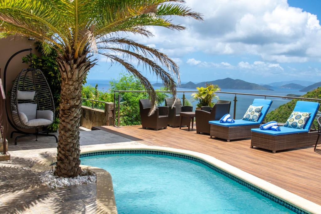 a pool with chairs and a palm tree on a deck at Mount Healthy Villas 6- bedrooms with spa & pool in Tortola Island