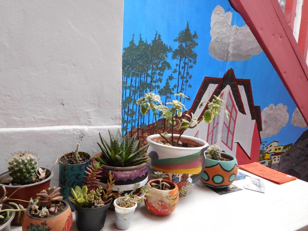 Mynd úr myndasafni af MALA HIERBA LGBT PLACe í Cusco