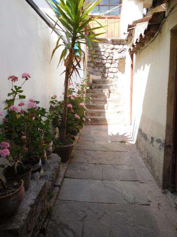 Mynd úr myndasafni af MALA HIERBA LGBT PLACe í Cusco