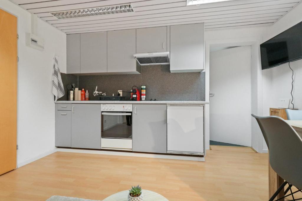 Kuchyň nebo kuchyňský kout v ubytování Appartement confortable avec un sauna