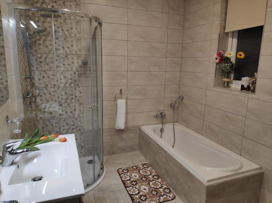 Cheerful 3 bedroom town house with garage free parking inside or outside with back yard and roof
