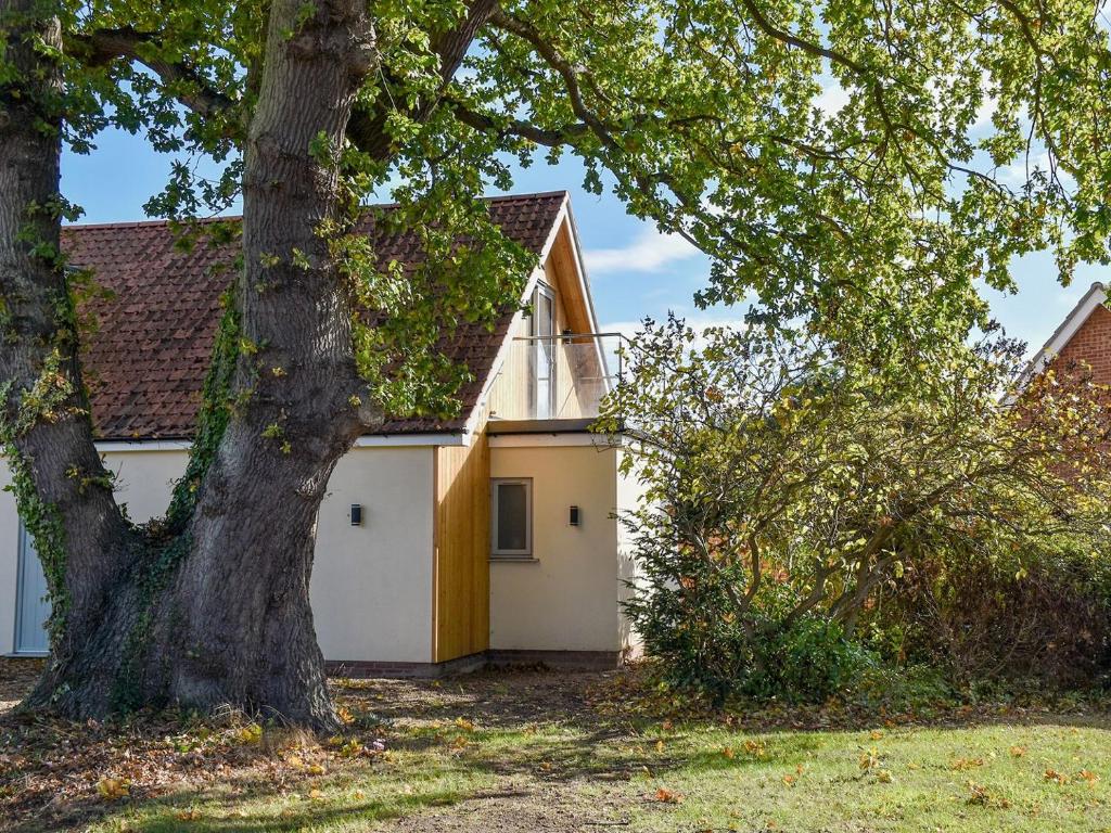 a house with a large tree in front of it at Secretseaview in West Mersea