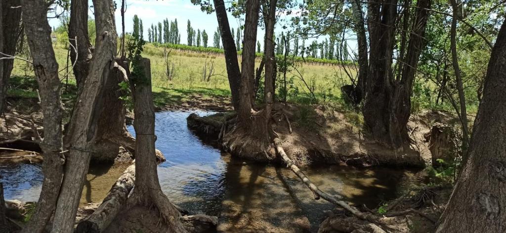 un arroyo en una zona boscosa con árboles en Finca del Sol Naciente en Monte Comán