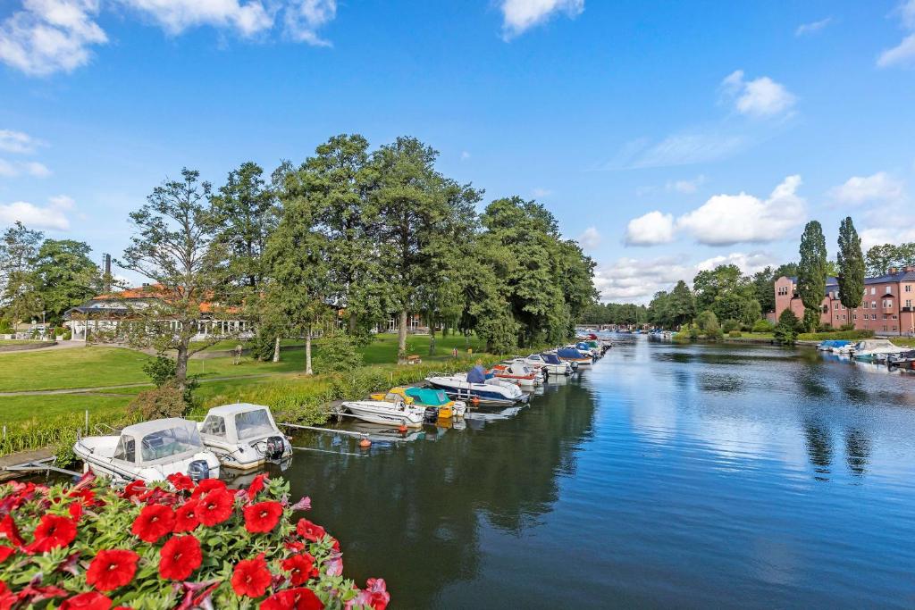 Výhled na řeku, která protéká v blízkosti hotelu