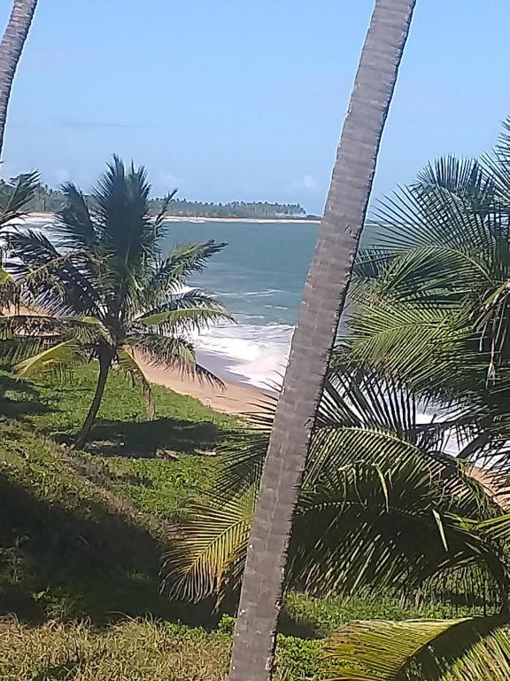 a view of the beach through two palm trees at Hostel e Pousada Maria Bonita in Paripueira