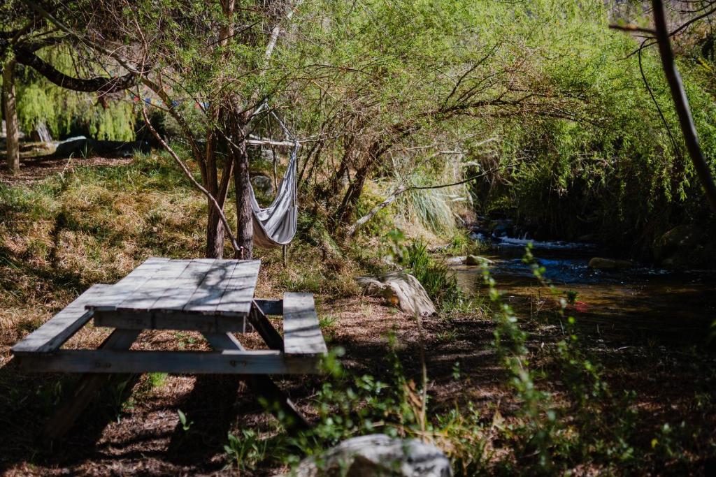 Zahrada ubytování Piuquenes Lodge - Cabañas, Viñedos y estrellas en Horcón, Valle de Elqui