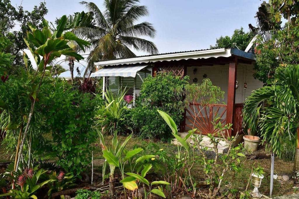 Bungalow tropical, SainteRose (updated prices 2024)