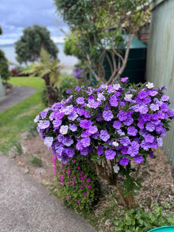 Tamaterau Seaview House in Whangarei - Resim 21