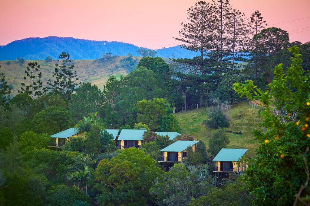 ein Haus mitten im Wald in der Unterkunft Dayboro Cottages in Dayboro