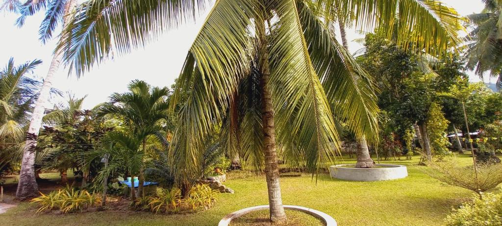 Vrt pred nastanitvijo Bat Tree Cottages