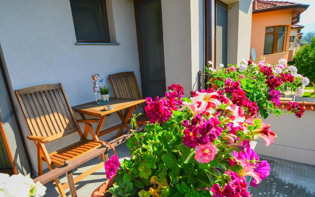 Zahrada ubytování KATERINA guest house