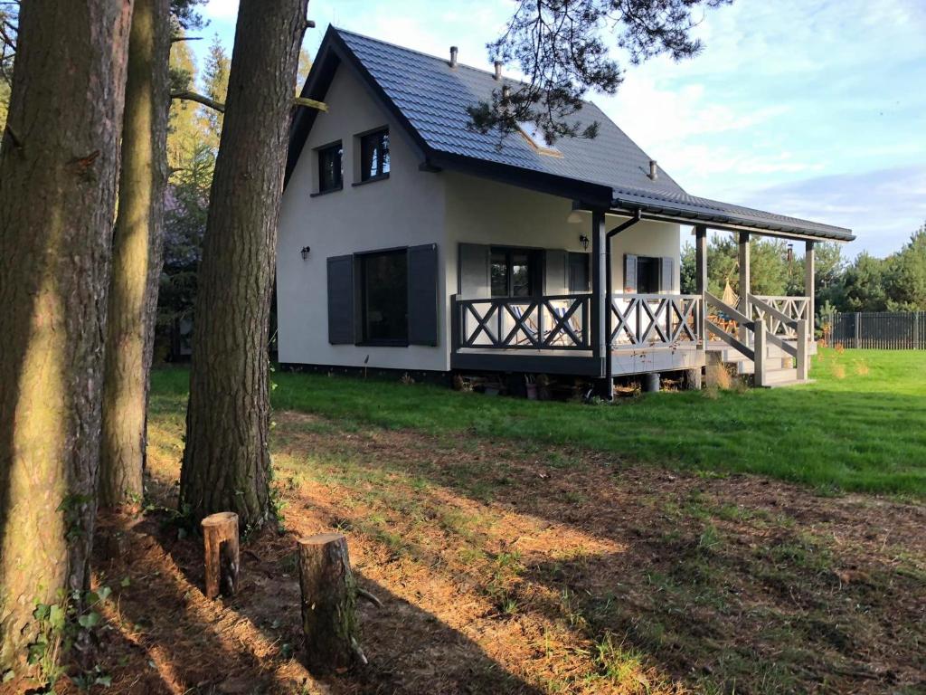 Κήπος έξω από το Młyńska Chata - drewniany, całoroczny dom w sosnowym lesie
