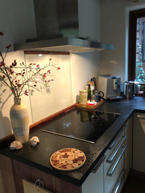 Kuchyň nebo kuchyňský kout v ubytování Ecolodge de Parel Schoorl