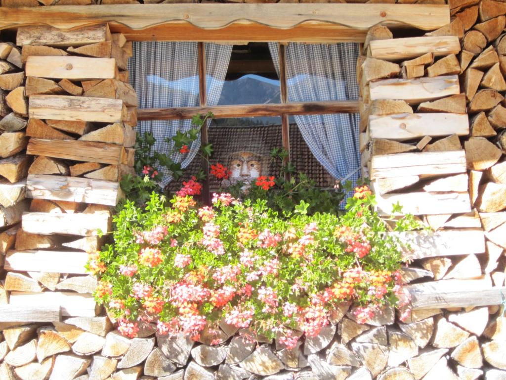 eine Katze, die aus dem Fenster mit Blumen blickt in der Unterkunft FeWo Lebensfreude in Mittenwald