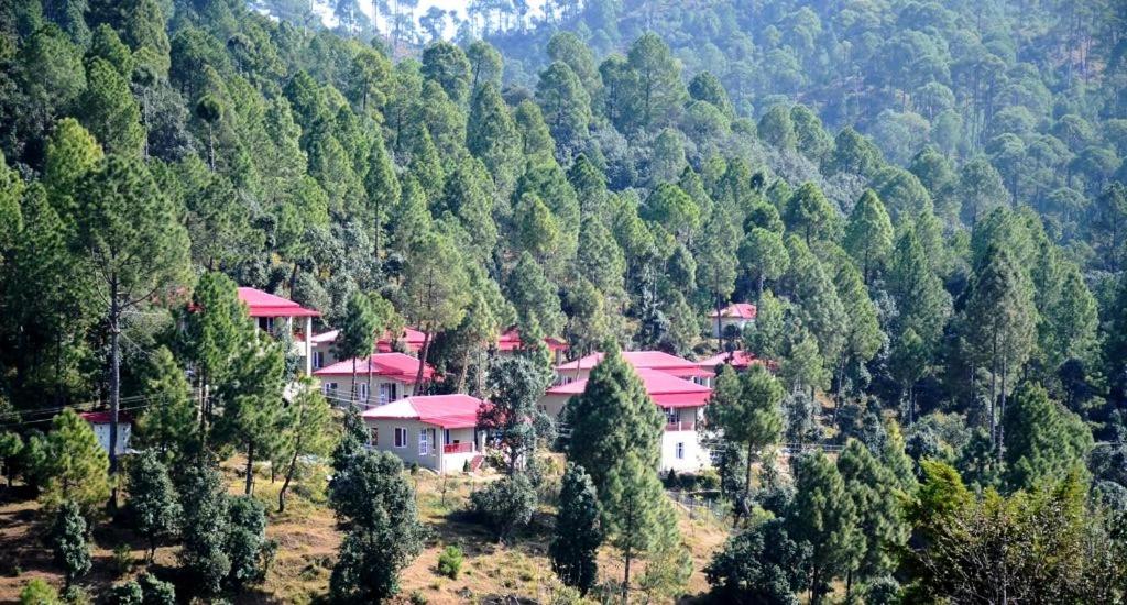 Pohľad z vtáčej perspektívy na ubytovanie Majkhali Woods, Ranikhet, By Himalayan Eco Lodges