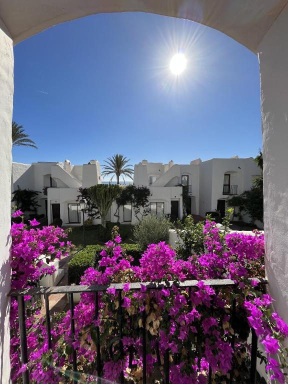 Zahrada ubytování Estepona - Playa - Villa situada muy cerca del mar
