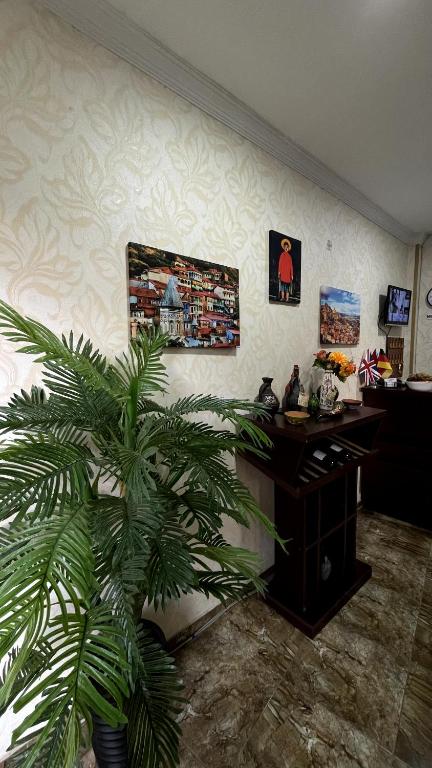 TV a/nebo společenská místnost v ubytování Hotel Shalimar