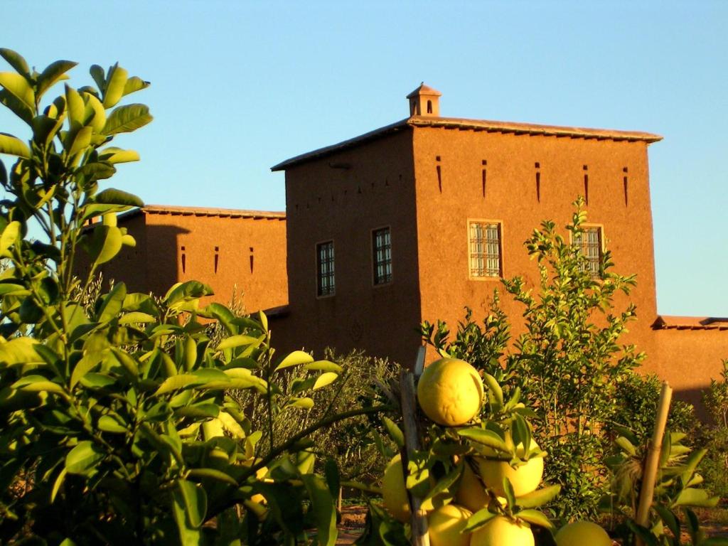 drzewo pomarańczowe przed ceglanym budynkiem w obiekcie Dar Tasmayoun w mieście Aït Ourir