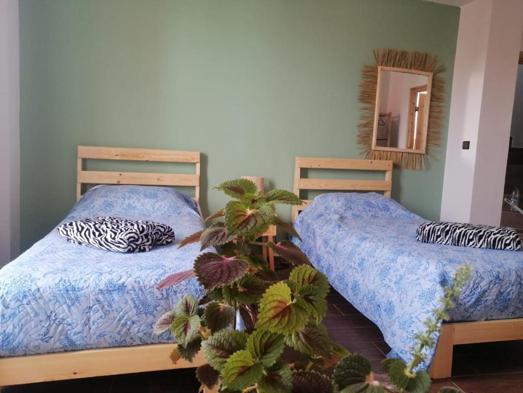 Postel nebo postele na pokoji v ubytování Dar Mouja, eco-friendly home
