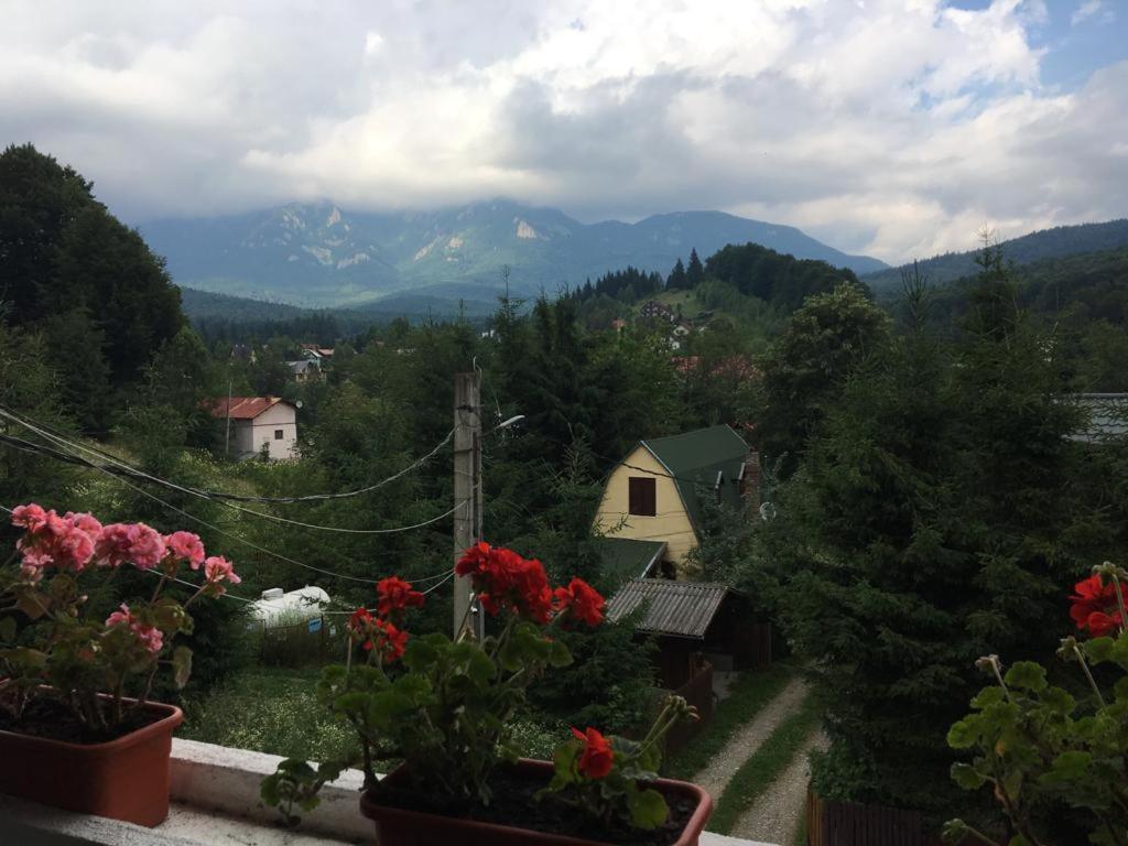 vista su una valle con montagne e fiori di Casa Ardeleană Cheia a Cheia