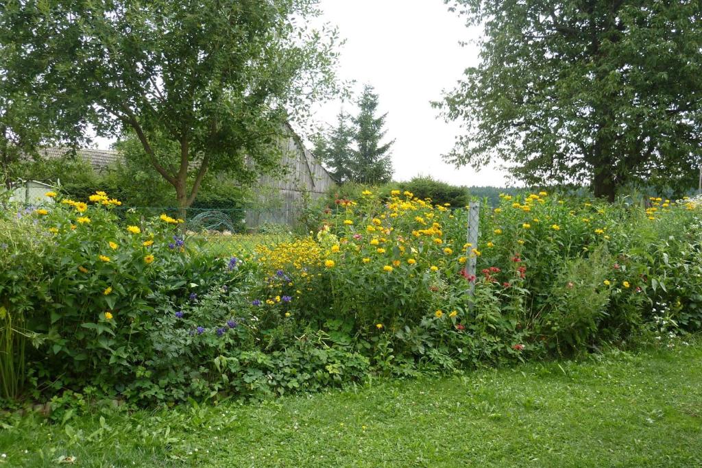 Zahrada ubytování Gertis Blumenhof Privatzimmer, Ferienwohnung