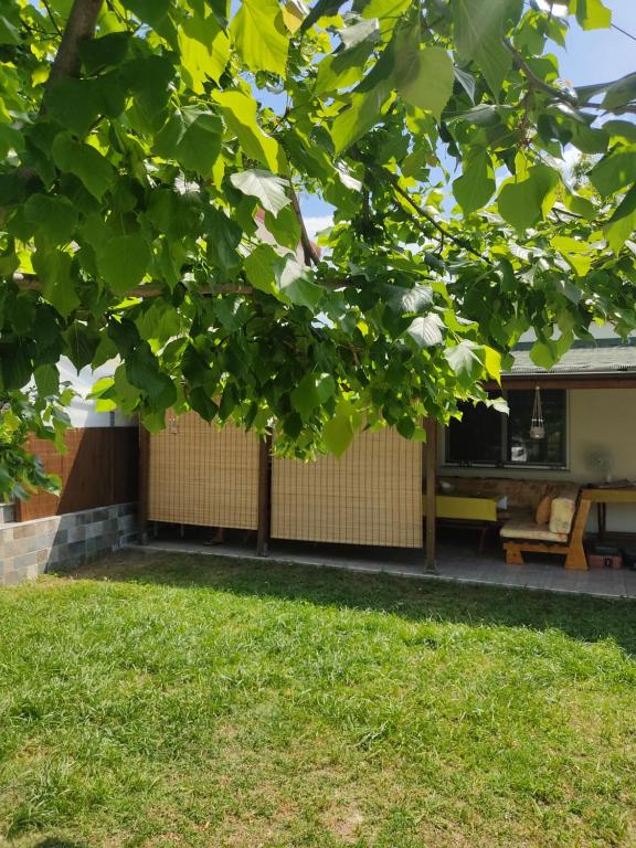 Blick auf ein Haus durch die Blätter eines Baumes in der Unterkunft Verde Home in Néa Meságkala