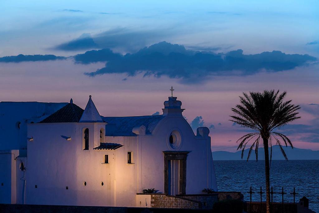 a white church with a palm tree in front of the ocean at Hotel Nettuno in Ischia