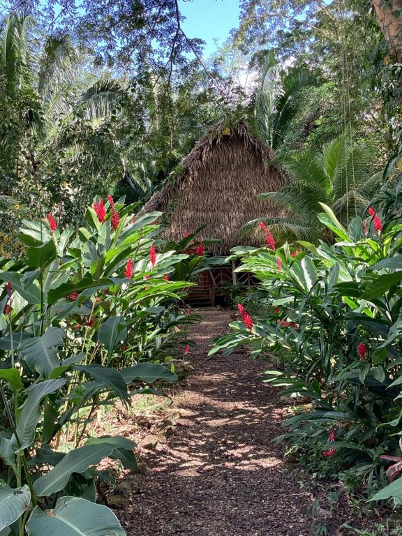 Zahrada ubytování Sun Creek Lodge