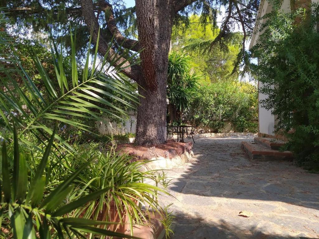 Homestay Habitación con jardín y piscina muy cerca de ...