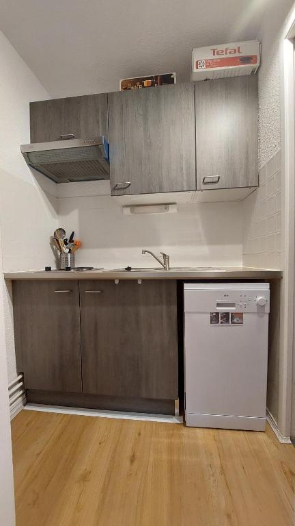 une cuisine vide avec un évier et un lave-vaisselle dans l'établissement Appartement au pied du PIC du Midi à La MONGIE, à La Mongie