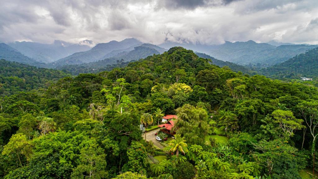 ein Haus inmitten eines Waldes mit Bergen in der Unterkunft Argovia Finca Resort in Tapachula