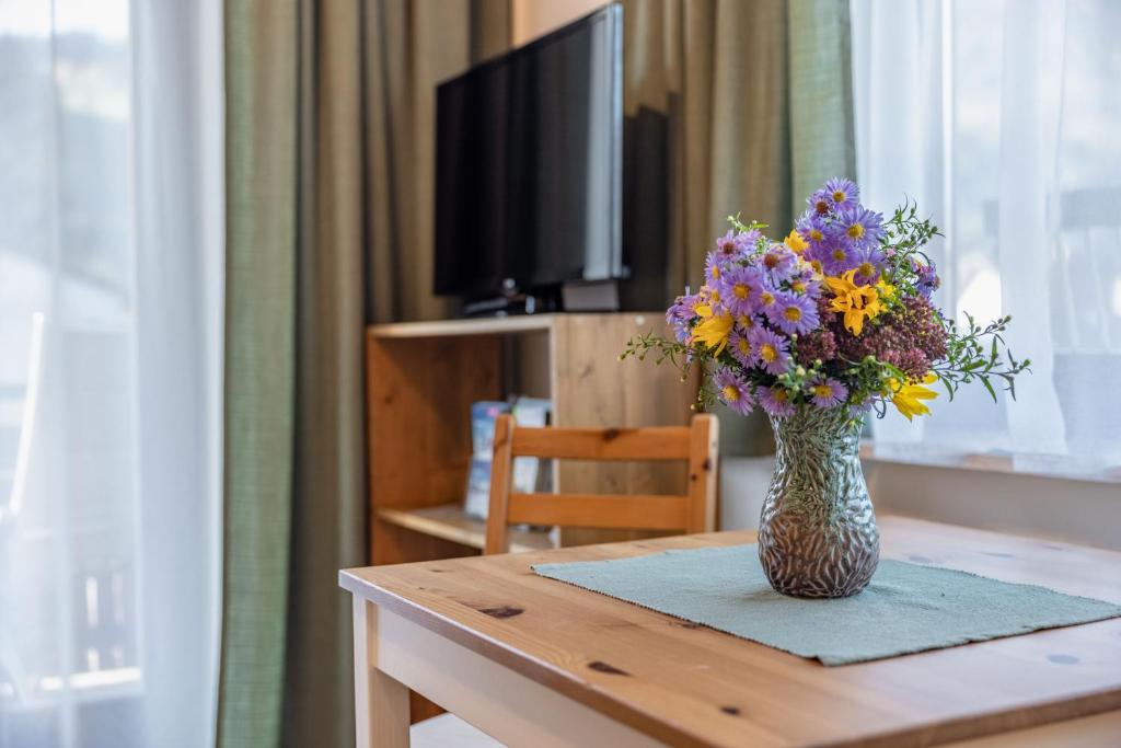 TV a/nebo společenská místnost v ubytování Gästehaus Nassfeld