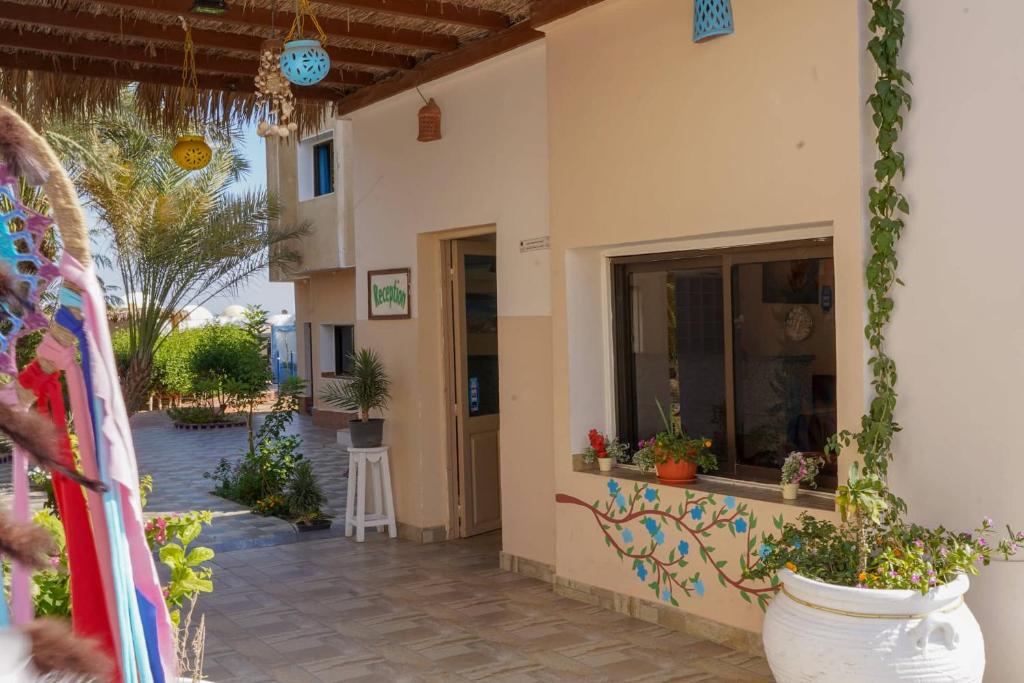Zahrada ubytování Miramar Camp Dahab