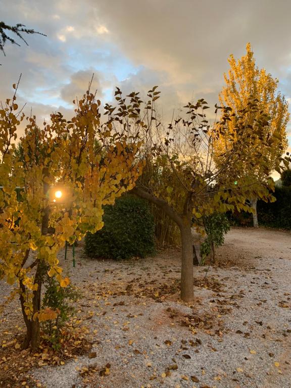 Fotografie z fotogalerie ubytování Cabañas Cortijo el Helao v destinaci Pozo Alcón