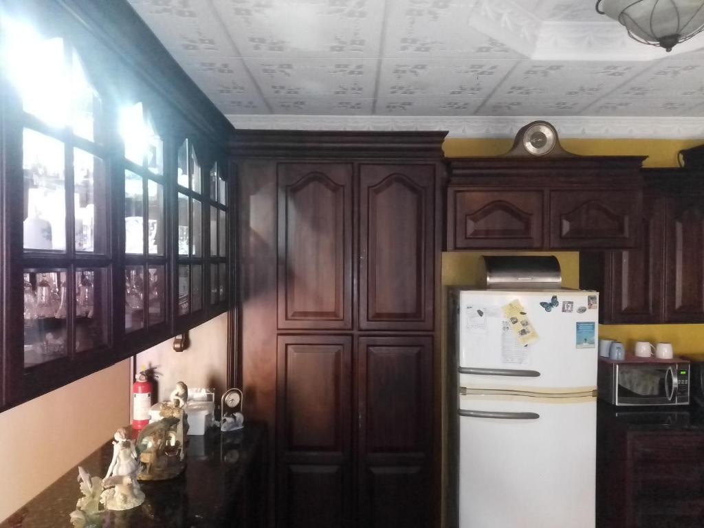 Kuchyň nebo kuchyňský kout v ubytování Alexander b&b