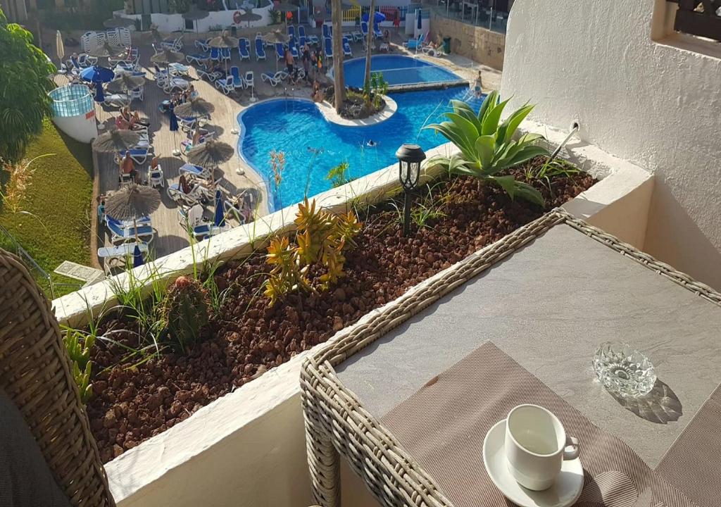 Zen Garden Golf Del Sur, San Miguel de Abona – Updated na ...