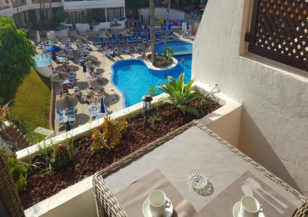 Zen Garden Golf Del Sur, San Miguel de Abona – Updated na ...