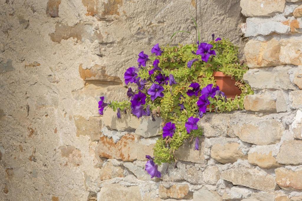 Zdjęcie z galerii obiektu LA CASA DI TALIN w mieście Serravalle delle Langhe