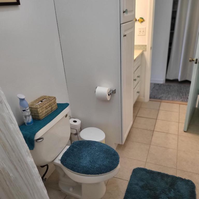 a bathroom with a toilet with a blue rug at Hoomaikai Blessings in Keaau