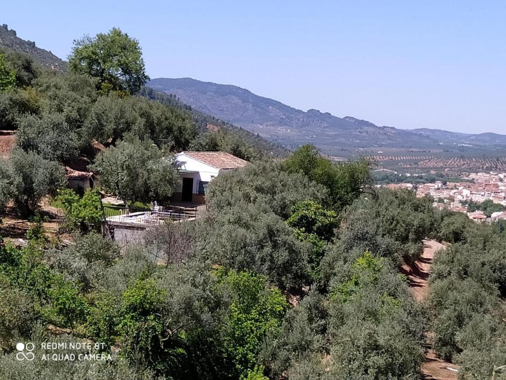 una casa en medio de un bosque de árboles en Cortijo las lagunillas, en La Puerta de Segura