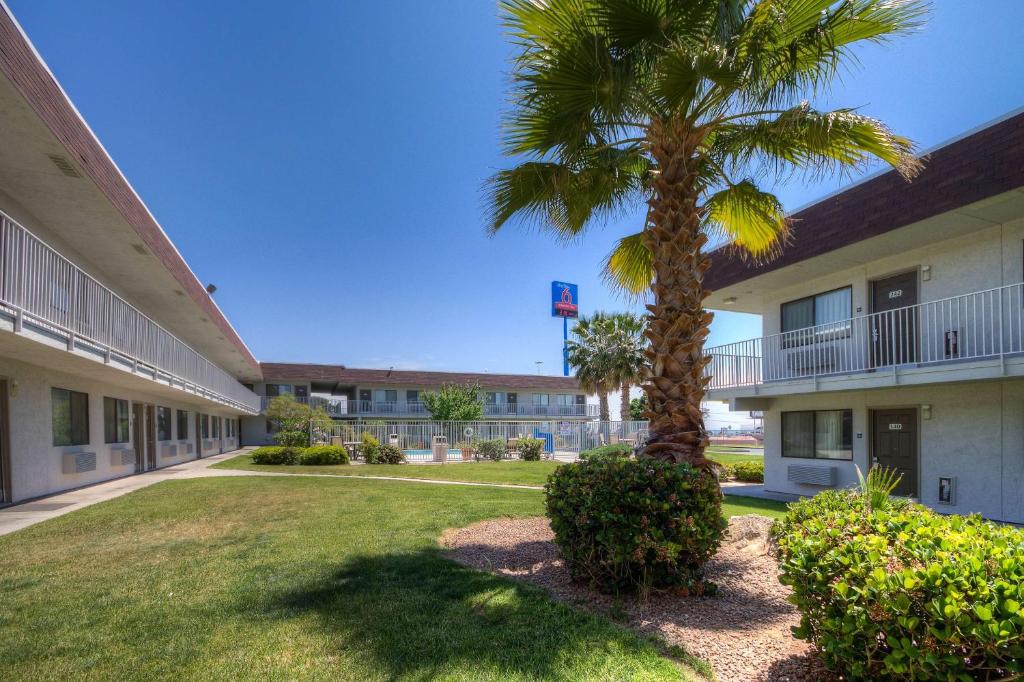 a palm tree in a yard in front of a building at Studio 6-El Paso, TX - East in Loma Terrace