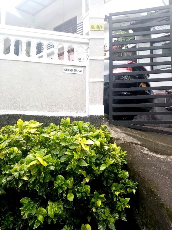 Fotografie z fotogalerie ubytování Chandi Mahal HomeStay v destinaci Kandy