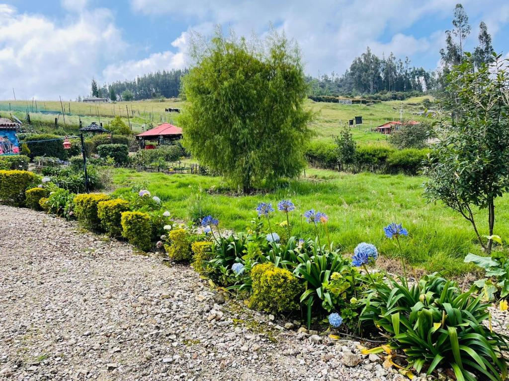 Zahrada ubytování Cabaña Rústica Villa Alicia